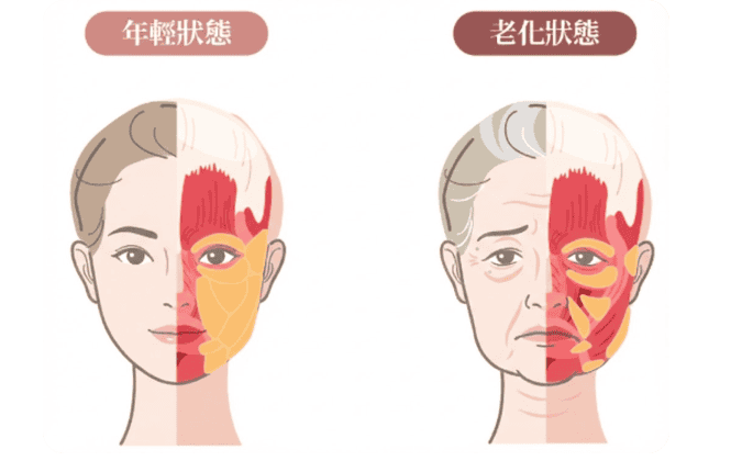 鳳凰電波效果會隨個人膚況、年齡與生活習慣不同，維持時間有所差異。